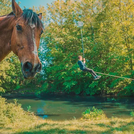 Marin Westermarkelsdorf