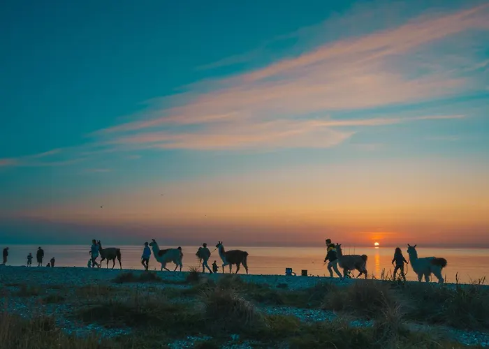 Marin * Westermarkelsdorf