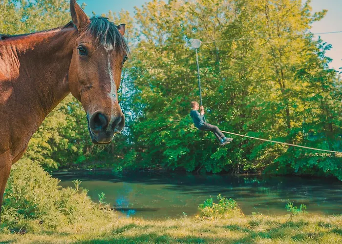 Marin Westermarkelsdorf